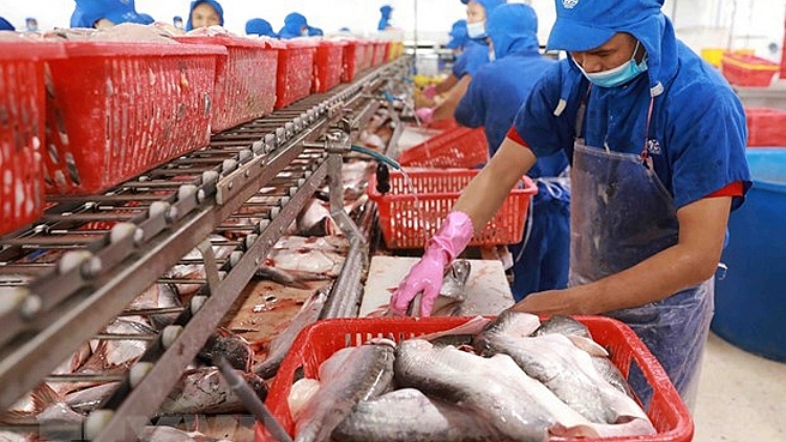 Canada is second largest consumer of Vietnamese pangasius in CPTPP bloc